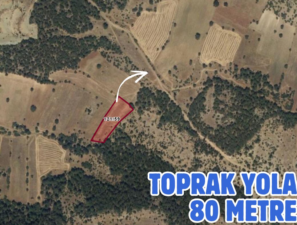 DENİZLİ ÇARDAK SÖĞÜT 3.820 M² TARLAMIZ SATILIKTIR. - DENİZLİ ÇARDAK fotoğraf 3